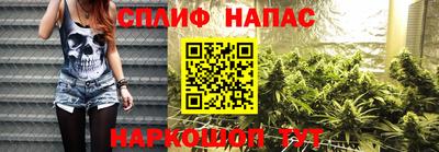прущие грибы Заволжье