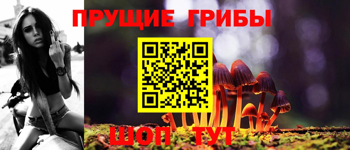 Псилоцибиновые грибы Magic Shrooms  Вход с VPN  Псилоцибиновые грибы Psilocybine cubensis  Люберцы 